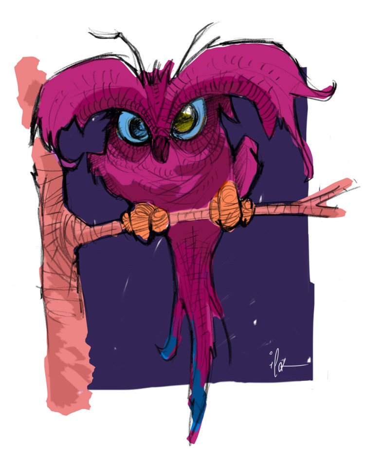 purple owl