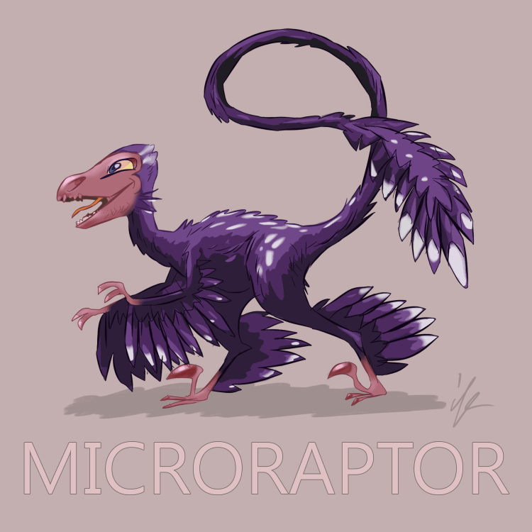 Microraptor